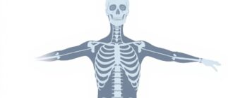 Современные методы изучения анатомии: как технологии меняют понимание тела