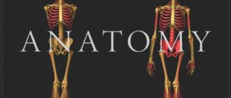 История анатомии: от древности до наших дней. Путешествие по структурам, ошибкам и открытиям