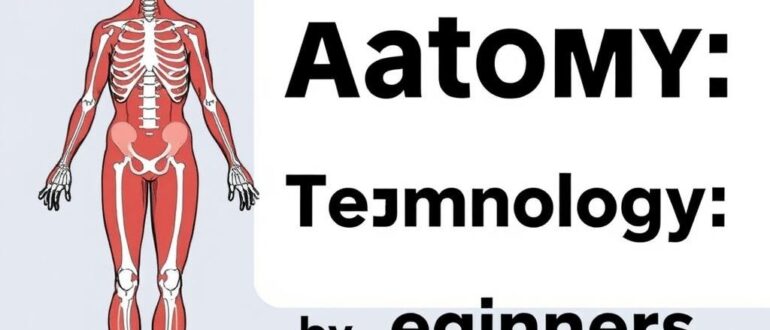 Анатомическая терминология: латынь для начинающих — легко и понятно
