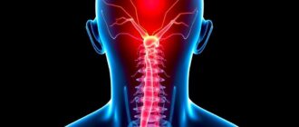 Анатомия боли: ноцицептивная система — как тело сообщает об опасности