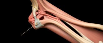 Анатомия подмышечной впадины: подробный путеводитель по структурам, функциям и клинике