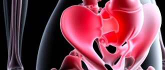 Роды: анатомия прохождения через таз — как устроено и что важно знать