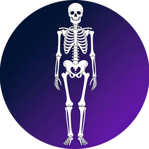 Справочник по анатомии