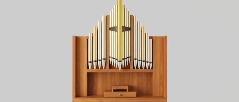 Орган слуха и равновесия: как уши помогают слышать мир и не падать