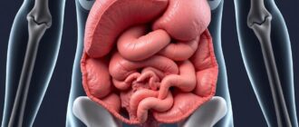 Брюшина и брюшная полость: что скрывается под прозрачной оболочкой